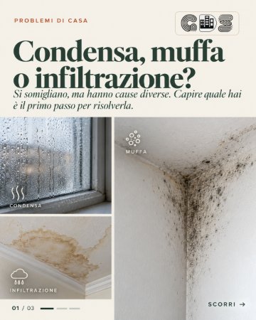 Post Instagram: Condensa, muffa o infiltrazione?
